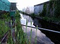 012. the back of the greenhouse near Boskoop