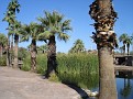DSC01978