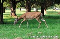 IMG 6574