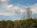 IMG 1886