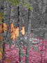 DSCF0022.JPG