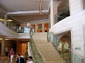 IMG 2029