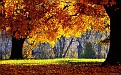 autumn-wallpaper-1920x1200-002