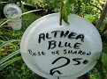 Plants Names DX7 211