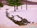 Winter 2