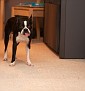 IMG 7765