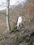 IMG 2560