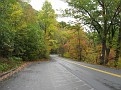 IMG 0037