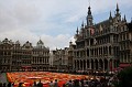 Brussels 019