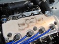 IMG 2242
