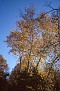 Scan-111212-0016 tif397723110797066601