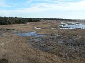 080.JPG