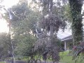 P9010040