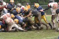 IMG 7356