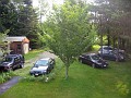 IMG 0557