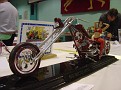 Picture 033