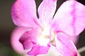 PHIPPS02262012-LNT-254