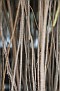 PHIPPS02262012-LNT-338