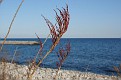 DSC09166