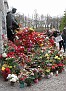 IMG 1273
