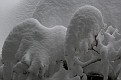 P1276914.JPG