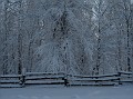 IMG 0012