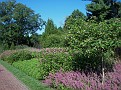 08 09 08_2431_edited-1.jpg