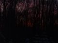 DSCF0022