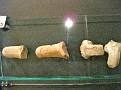IMG 1049