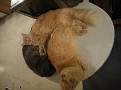 DSC02151
