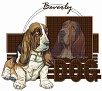 dcd-Beverly-Dog.jpg