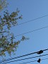 P1350599
