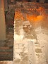 IMG 1106