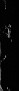 M117024182ME pyr tif4013903865305902451