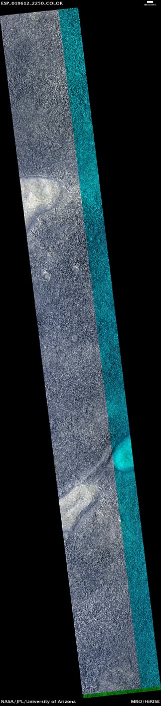 ESP 019612 2250 COLOR abrowse