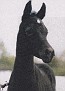 GA MAHOGANYS GEORGIA (Padrons Mahogany x Pretty Susan) 1997 grey filly