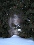 IMG 4221