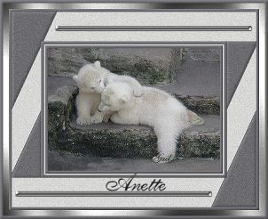 Anette-gailz0207-bearcubs.jpg