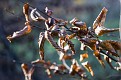 _MG_6743.jpg