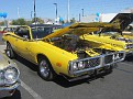 IMG 3136