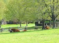 SUFFIELD - 24.jpg