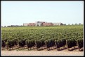 ClosSiete9975