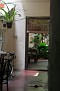 DPP_0267.JPG