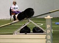 IMG 8280