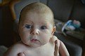 DSC0178