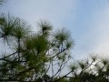 P1050398