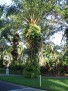 P2010092