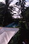 Scan-111210-0028