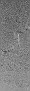 ESP 012902 1955 RED NOMAP thumb