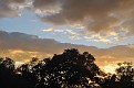 DSC 3677 54